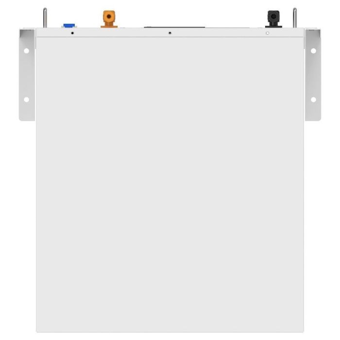 Аккумуляторная батарея Biom Professional 48В (51.2В) BALFP-R512100-UNI 5кВтч