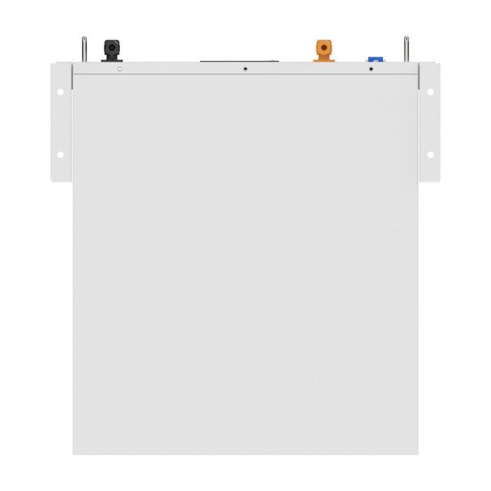 Акумуляторна батарея Biom Professional 48В (51.2В) BALFP-R512100-UNI 5кВтч