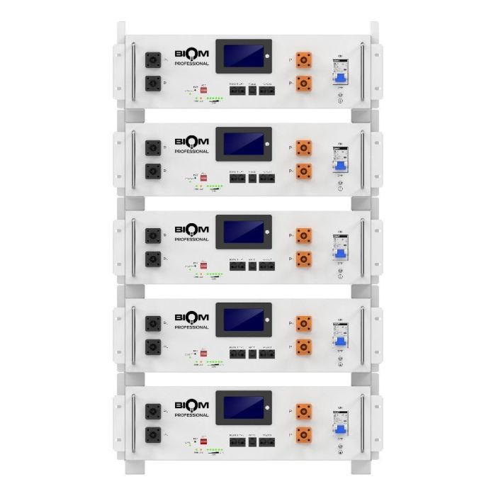 Аккумуляторная батарея Biom Professional 48В (51.2В) BALFP-R512100-UNI 5кВтч