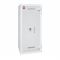 Сейф вогневзломостійкий Griffon F60CL I.130.KT WHITE
